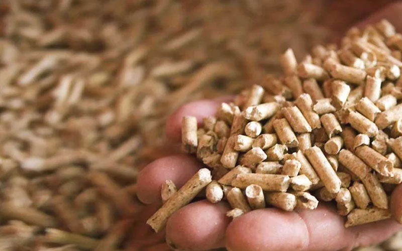 Pelet Sobasının Isıtma Performansı